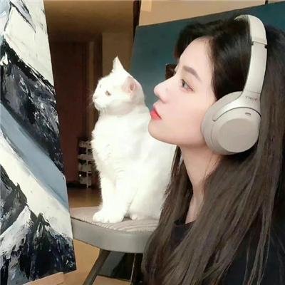你好,树公主